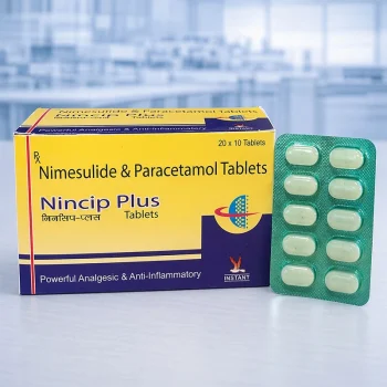 Nincip-Plus  